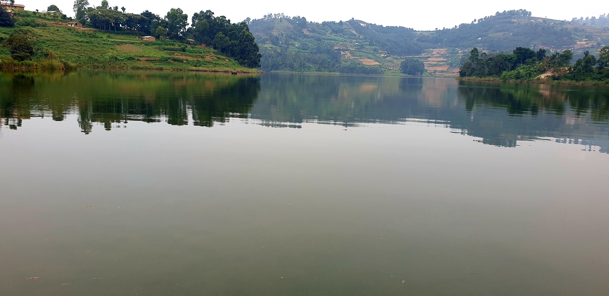 20210218_093643 scaled