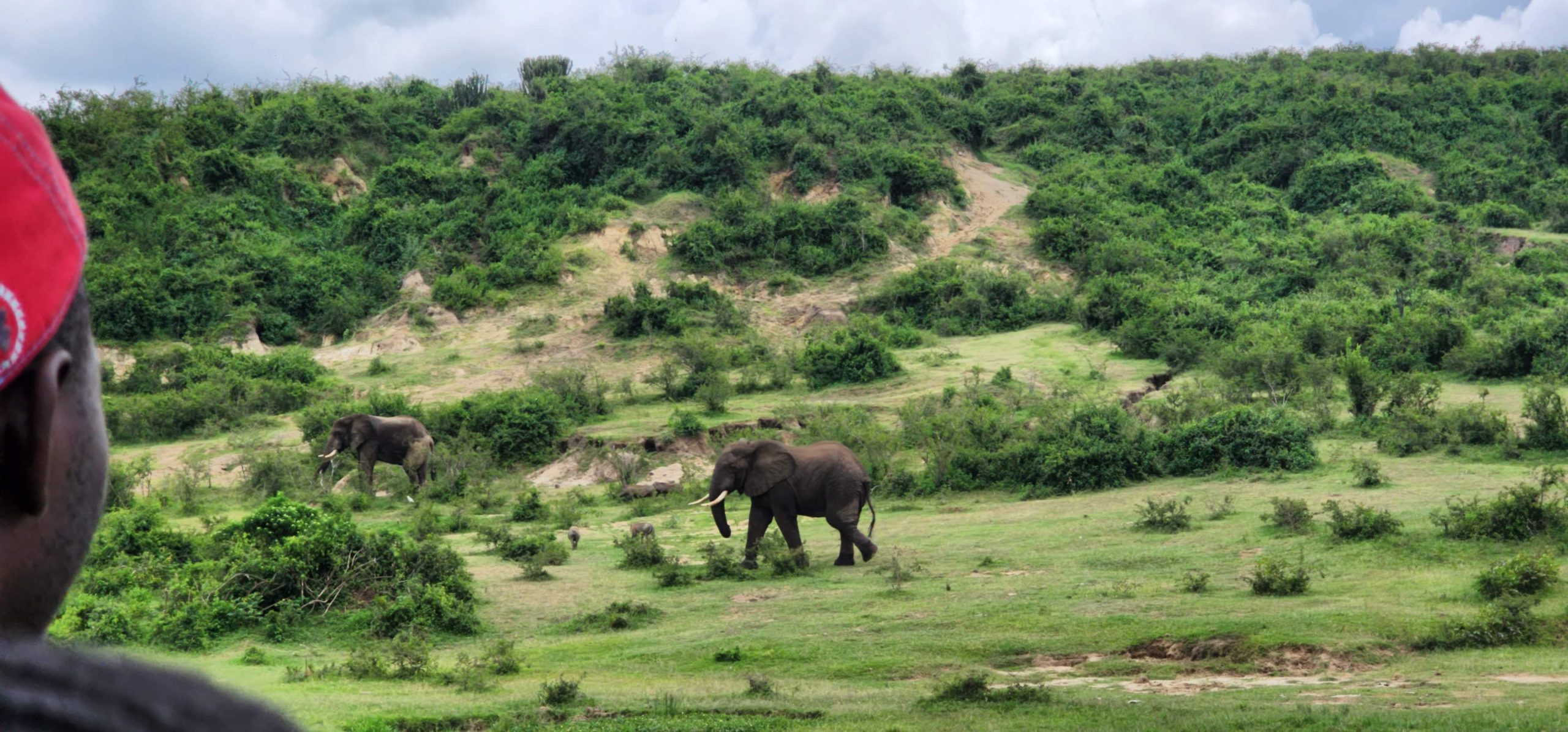 20221126_122510 scaled