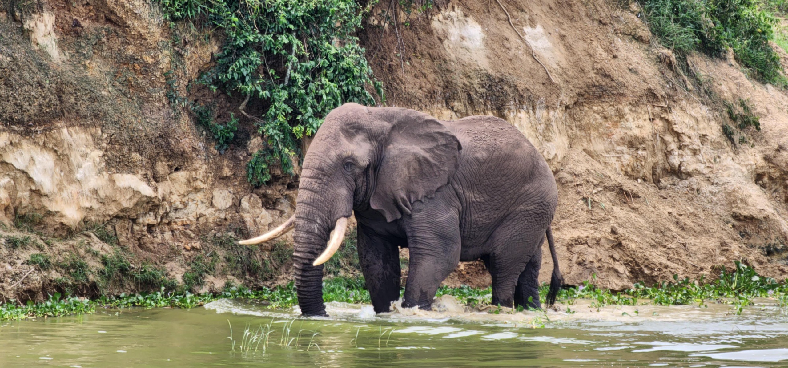 WhatsApp Image 2025 01 18 at 1.02.23 PM