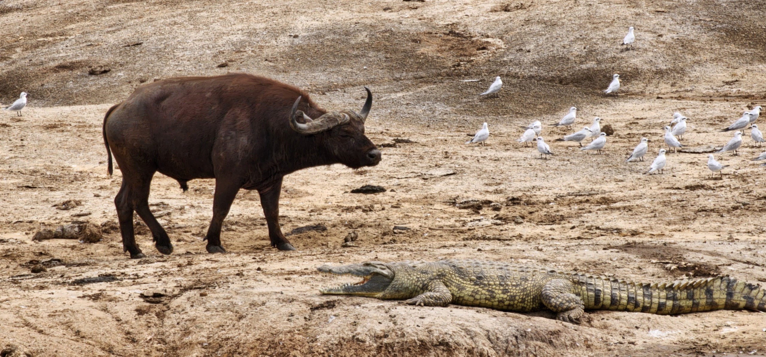 WhatsApp Image 2025 01 18 at 12.49.03 PM 2