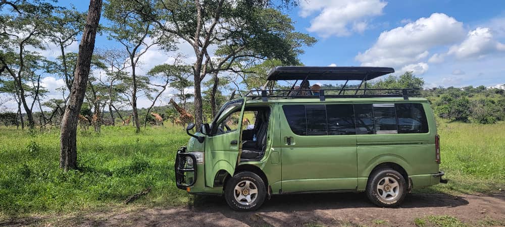 WhatsApp Image 2025 06 26 at 11.50.52 1