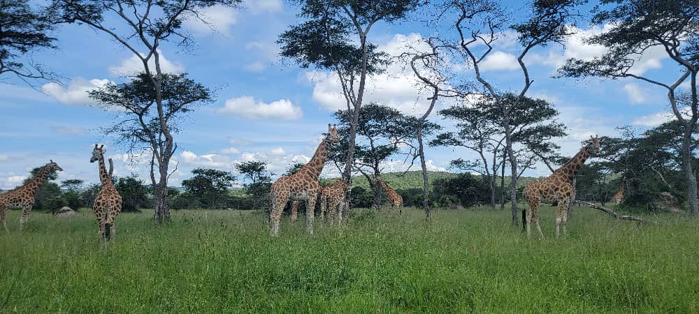 WhatsApp Image 2025 06 26 at 11.50.52